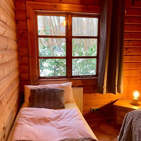 Blockhaus Am Twistesee Mit 3 Schlafzimmern Бад-Арользен Экстерьер фото